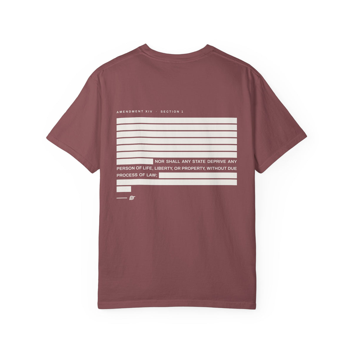 FDT Due Process Tee in Brick, back view (supplier mockup)