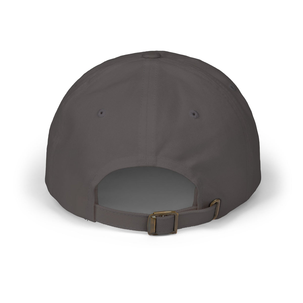 FDT Field Cap in Dark Grey, back view (supplier mockup)